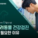 힐링동물병원 &  건강검진센터 이미지