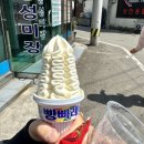 2025년 다섯번째 일상 - 너네랑 있을때 가장 즐거워🎵(올해 첫 야구장 나들이 ⚾, ACC 전시 후기)