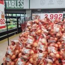 롯데마트 김포공항점 | 롯데마트 김포공항점 오늘의 시세- 양파, 계란, 토마토, 블루베리 할인 총 정리