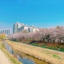 정자천로 이미지