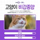 서울동물영상종양센터 이미지