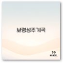 보령 성주계곡 펜션과 캠핑장부터 백숙 맛집까지 2025 여름 꼭 알아야합니다