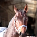 장군목장 이미지