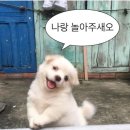 햇덧 네이버블로그