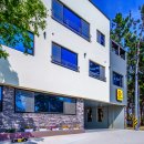 베스트 애견 이미지