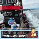 인펜션 | [준비된오늘] 태안 선녀피싱 9월 쭈꾸미 낚시 후기 및 인더씨 구오션 빌리지 펜션 숙소 정보