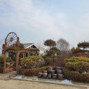 평택 다육이 농장 - 다양한 다육이를 만날수 있는곳 다초원