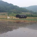 쌍계목장 이미지