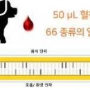 알레르기 증상이 심하지 않다면 방치해도 될까?알레르기 검사 이미지