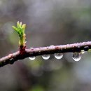 멋진인생 이미지