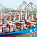 오렌지 농장 이미지