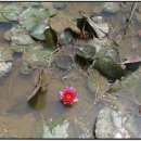 청산마을 이미지