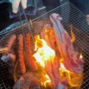 헤라펜션 | 태안 안면도 로뎀애견펜션 오션뷰 애견운동장 헤라방 후기