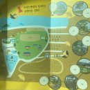 금빛농장 | 금빛 은행단풍 보고플 때: 보령 청라은행마을_정촌유기농원&amp;신경섭가옥 후기