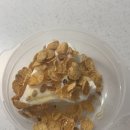 항구가누리펜션 | 2026년 1월 둘째주 기록 (휴식 주간이지만 출근,십만 블로거,ECC커피,삐에뜨라,소베,감포 번개 여행...