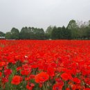 상상농장1 이미지