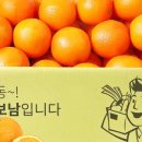 장보남