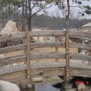 덕평자연휴게소 이미지