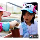 (주)소풍관광