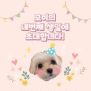 웰컴댕댕 이미지