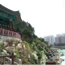 유승한내들더퍼스트 이미지