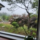 우아한 게으름 이미지