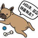 순천양꼬치 - 광양시 눈소1길 5 | 순천양꼬치