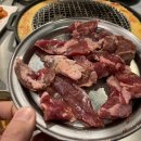 마포갈매기 이미지