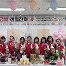 회기4 이미지