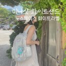 노스페이스화이트라벨 미니샷 화이트샌드 후기 레콘과 집중비교