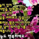 겨울꽃님 ~~ 이미지