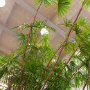 오핀베이커리 이미지