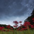 옥룡사지 이미지