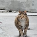 아이안스튜디오 이미지