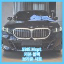 (주)한독모터스 딜리버리센터 | P1 / 카본 블랙 / 브라운 시트 / 한독모터스 딜리버리 센터 출고 후기!!_한독모터스 서초전시장 박진서대리