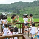 영주시부석면상석보건진료소 | 영주시, 상석리 솔숲 백로떼 장관 '눈길'