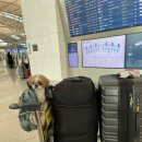 미국 출국 날(23.03.27)