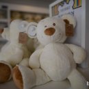 테디베어뮤지엄 이미지