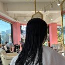 더어반헤어 이미지