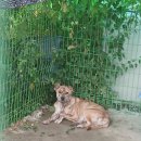 사림동225 이미지