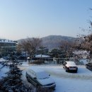 미리내캠프