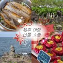 용두암 관광안내소 | [제주] 3일차 | 가족 여행 마지막날, 그리고 선물 쇼핑 (갈치솥밥, 초코감자칩, 몽생이샌드 등)