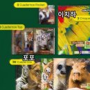 포포이치