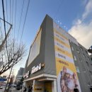 청주고양이카페아이캣유 네이버블로그