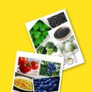 생활속의 우리옷 이미지