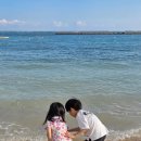 해변공원 야외화장실 사무동 | 이시가키 숙소 추천 후사키 비치 리조트 스탠다드 트윈룸 테라스 빌라 (ANA 인터컨티넨탈 비교)