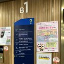 중앙도서 | 마포중앙도서관 예약 도서 대출 이용 후기(키즈카페, 어린이 도서관, 열람실)