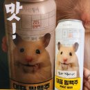 김*겸 - 미추홀구 소성로350번길 28-1 | 퇴사의 맛! 김햄찌 맥주 1차 이벤트 당첨 후기겸 2차 이벤트 참여