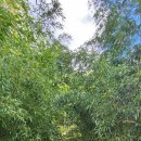 약사전약수터 이미지