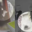 서울영등포경찰서어린이집 이미지